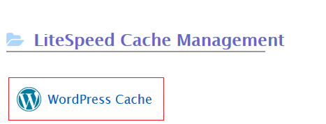 WordPress Cache.
